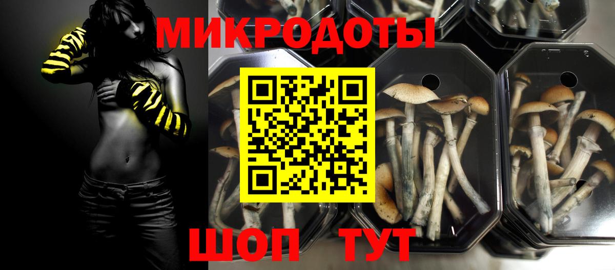 Псилоцибиновые грибы Psilocybe  Вход с VPN  Ливны 